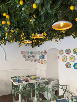 Así se ve Casa Olivo